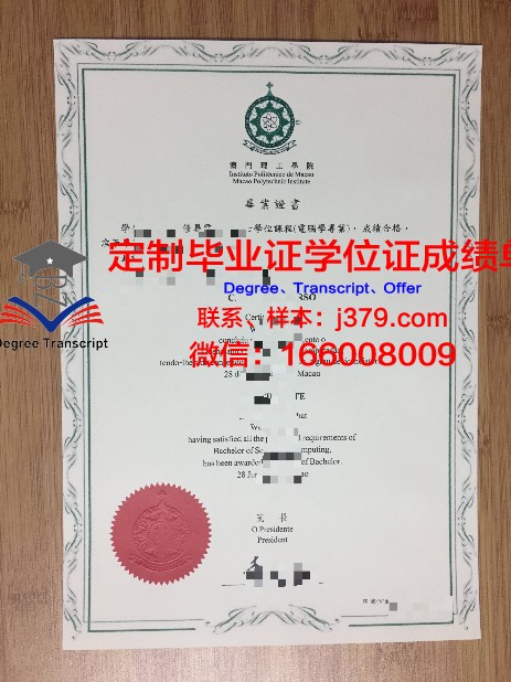 SB本科毕业证：一张纸背后的故事与反思
