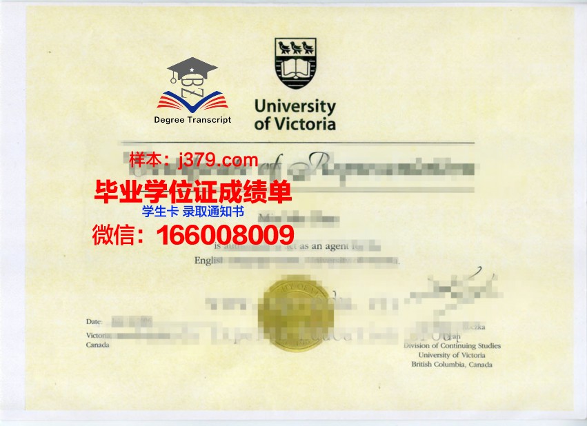 2023年对外大最新毕业证书样本图片