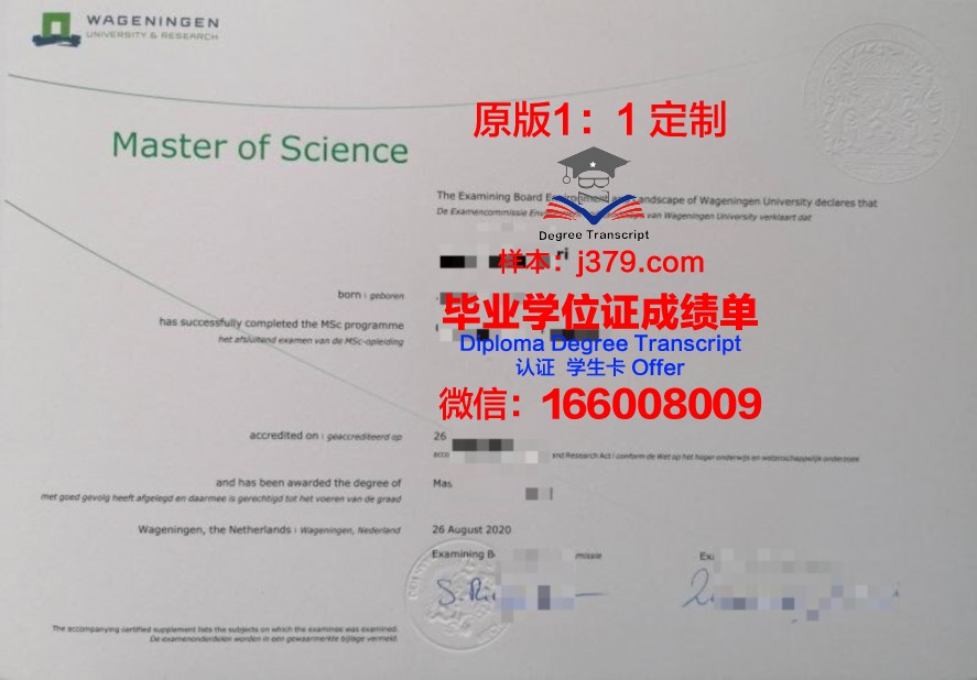 SGP硕士毕业证：开启国际化教育新篇章