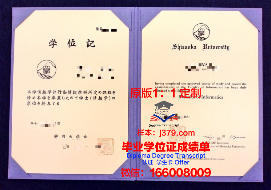 静冈英和学院大学博士毕业证：一份跨越国界的学术荣耀