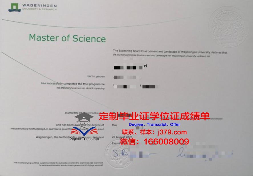 一桥毕业证样式变迁史：历年对比