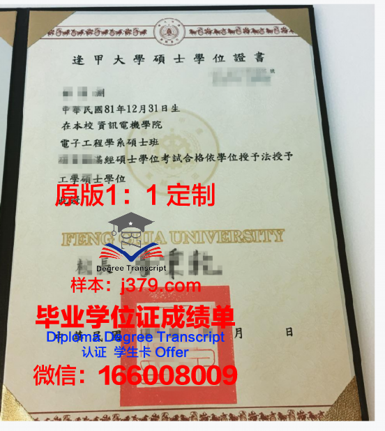 SPbPU本科学位证：开启国际教育新篇章的通行证