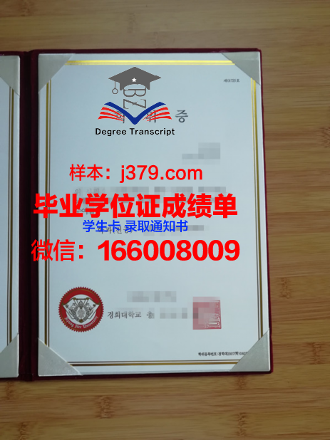 韩国国际大学学位成绩单定制：探索背后的真相与影响