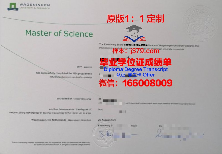 一图看懂：比可卡毕业证样式结构与内容