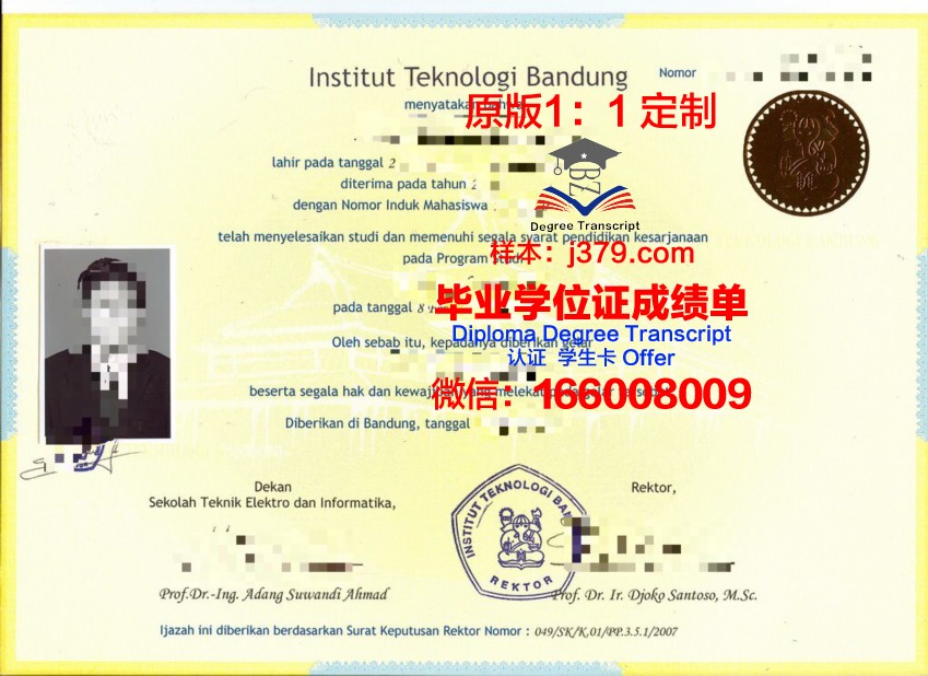 万隆理工成绩单里的秘密：隐藏的加分项有哪些