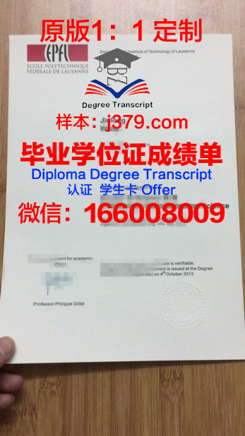 万理工Diploma证书：助力职场新人快速成长