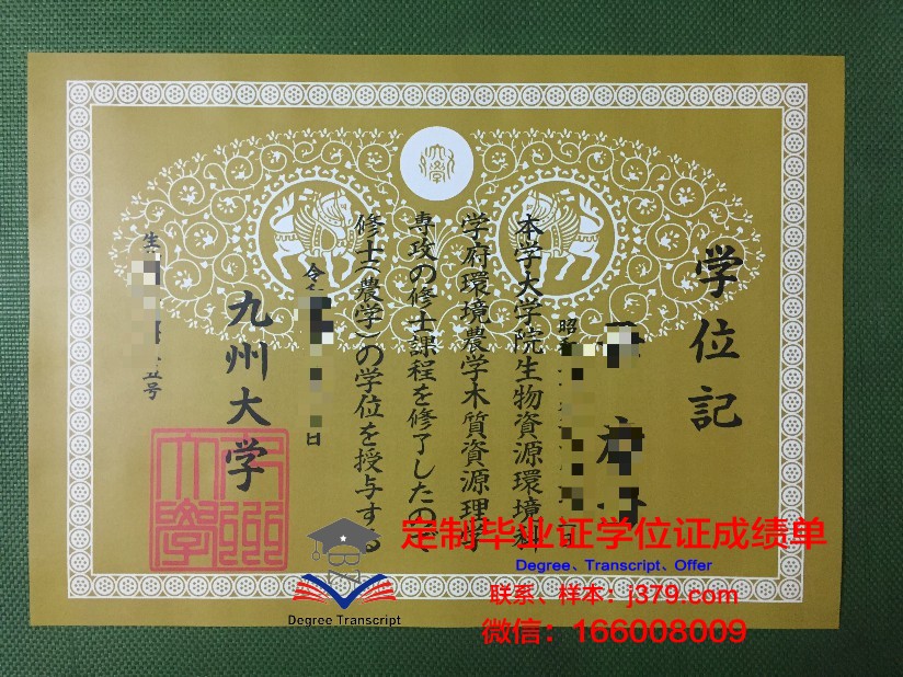 九州大学成绩单在线查询与下载攻略