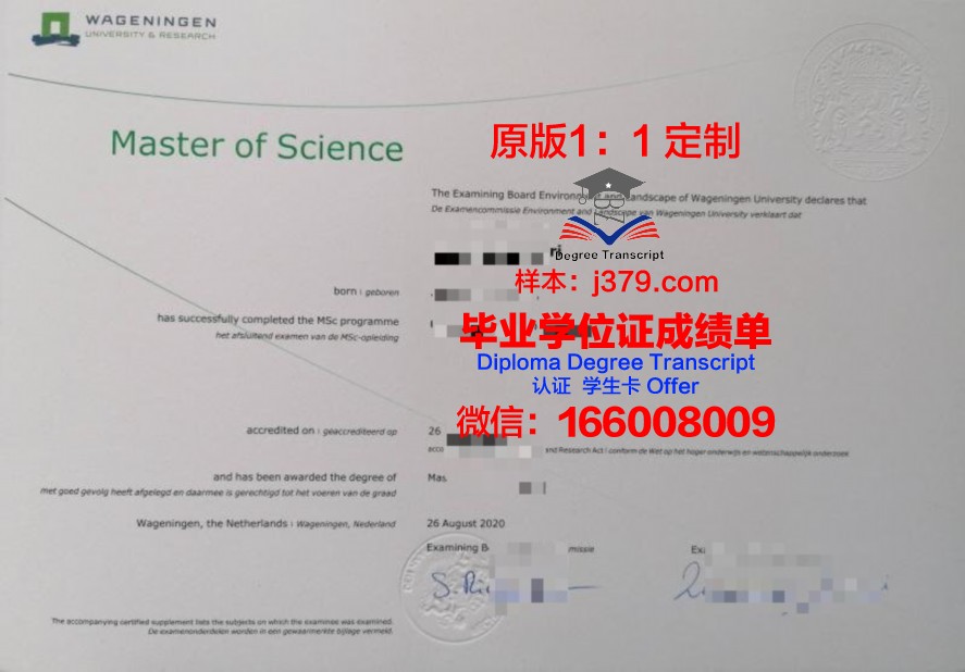 一站式了解坦大毕业证补办全流程与费用