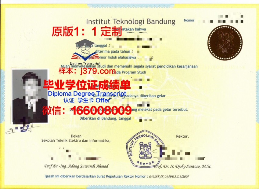 万隆理工毕业证电子版与纸质版的区别