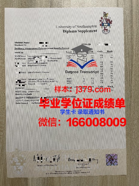 OSTRAU成绩单：反映学习成果的镜子