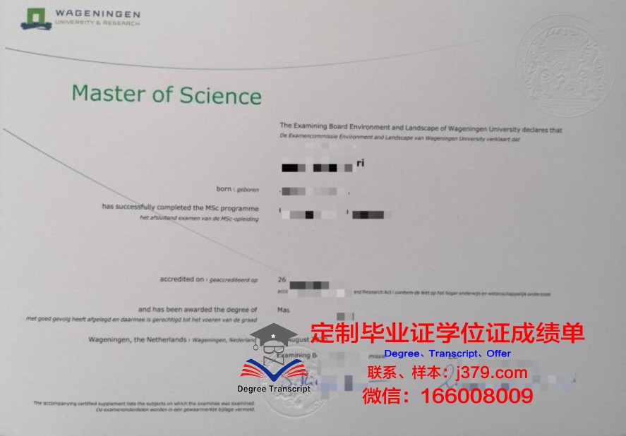 P-ton本科毕业证：一张承载梦想与荣誉的证书