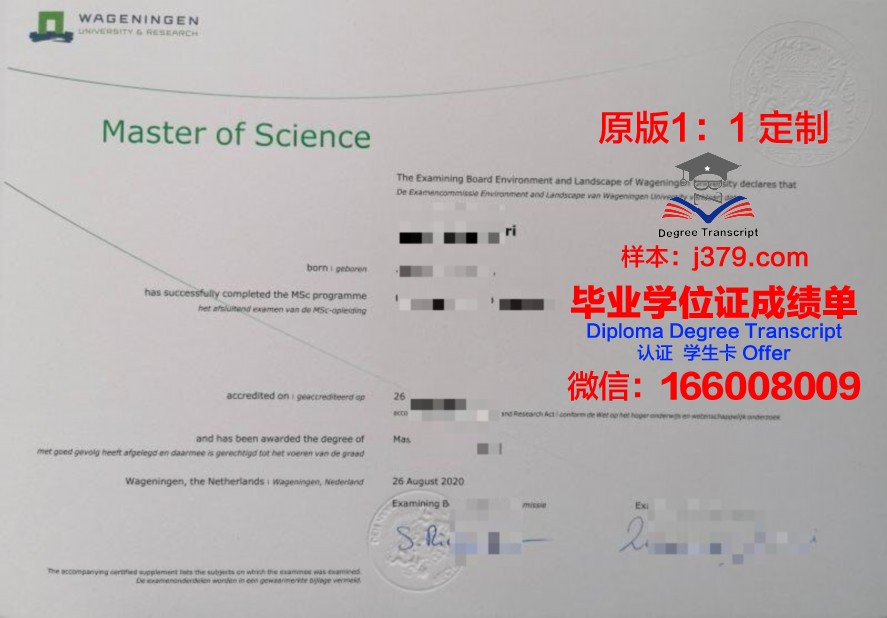 Roma I毕业证成绩单：承载荣誉与回忆的纸笔见证