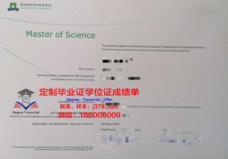 国外毕业证丢了怎么证明学历(国外毕业证书丢了怎么办)