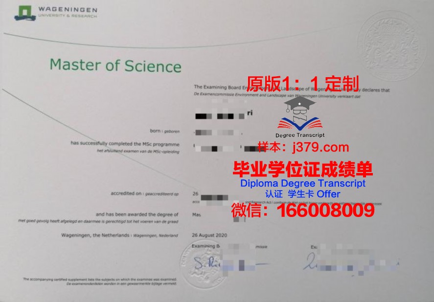 PKNU毕业证成绩单：承载青春的荣誉与回忆