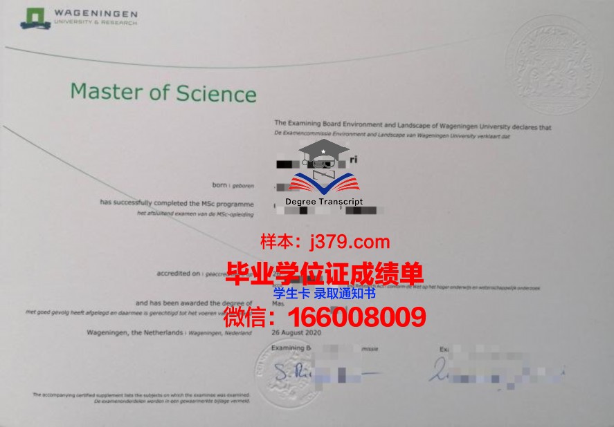 国外大学没有高中毕业证(国外高中没毕业证回国能上什么大学)