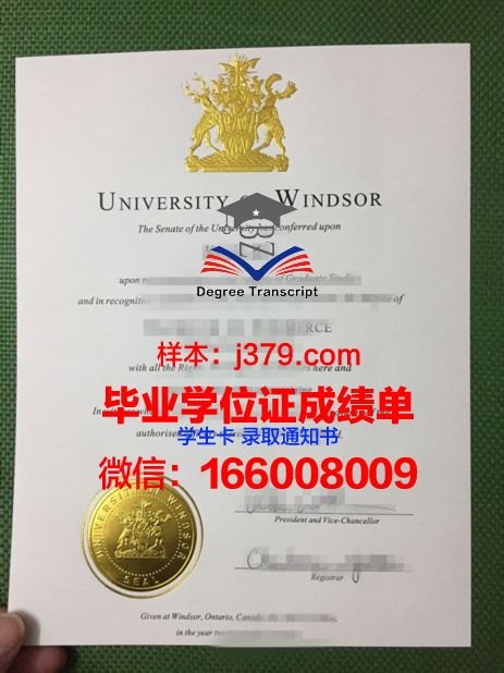 温莎大学本科毕业证 University of Windsor diploma