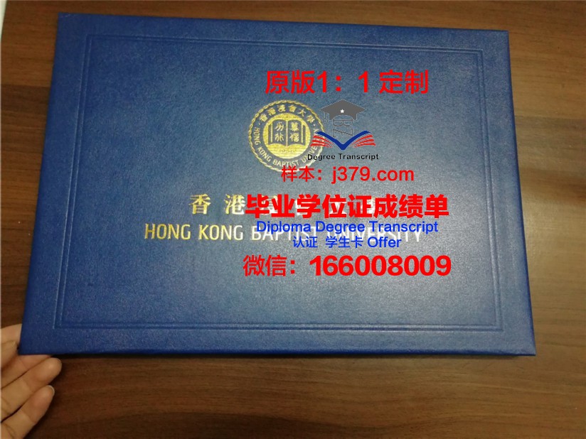 万理工毕业证壳子：选购指南与注意事项