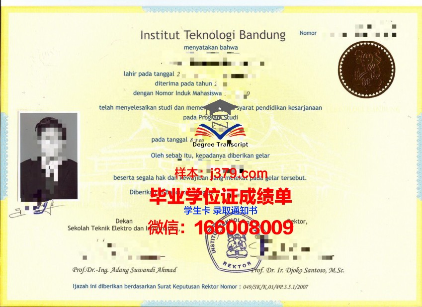 万隆技院硕士证书：塑造专业人才的摇篮