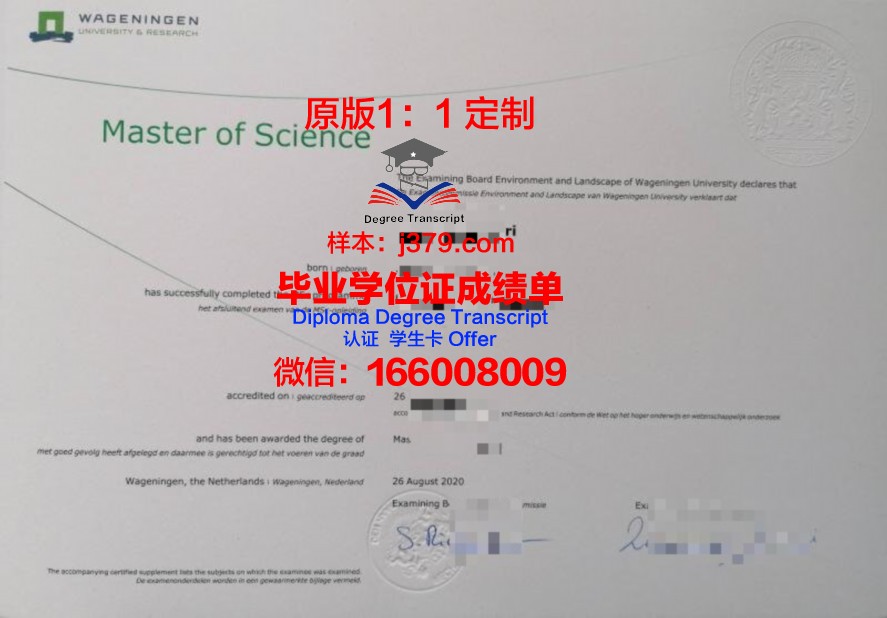 门罗学院毕业证图片Monroe College Diploma