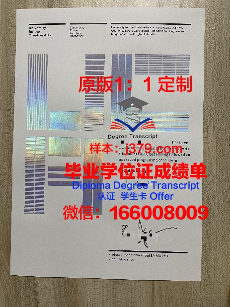 SAE创意媒体学院diploma证书(sae创意传媒学院)