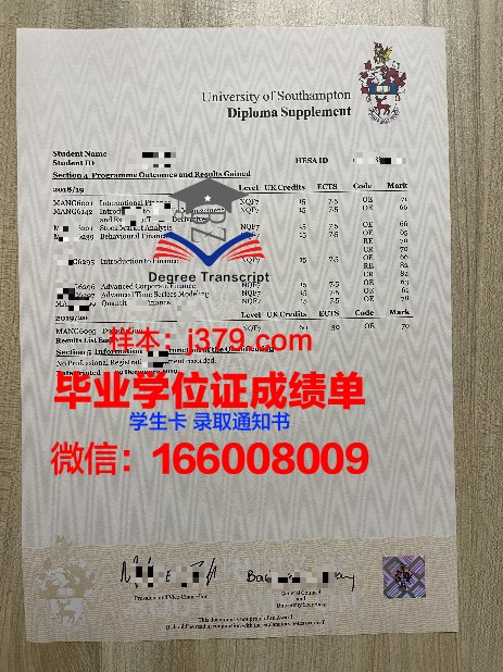 P-ton成绩单：数字化时代的学业新篇章