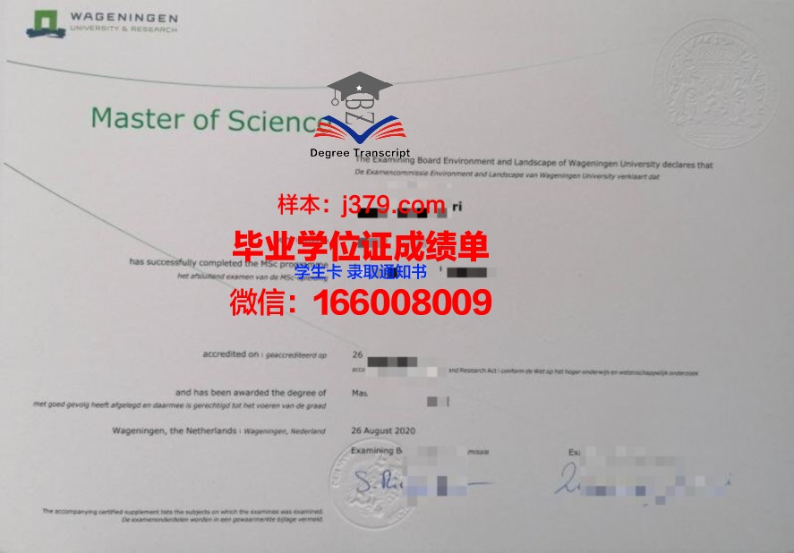 韩世大学毕业证diploma
