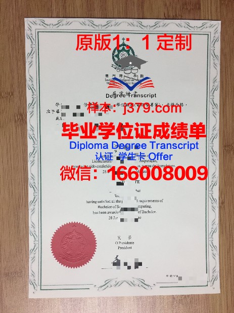 锡根大学毕业证Diploma文凭