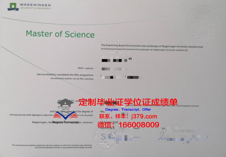 雷恩商学院毕业证图片