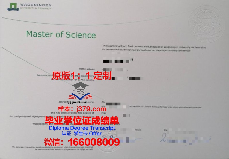 SO大毕业证：承载荣誉与梦想的通行证