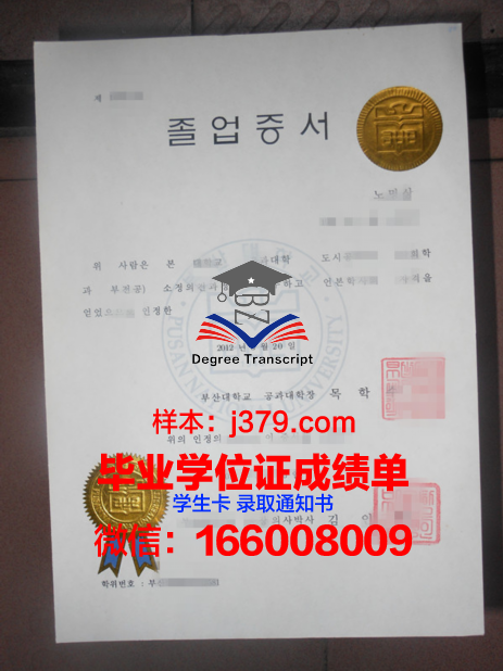釜山国立大学毕业证diploma