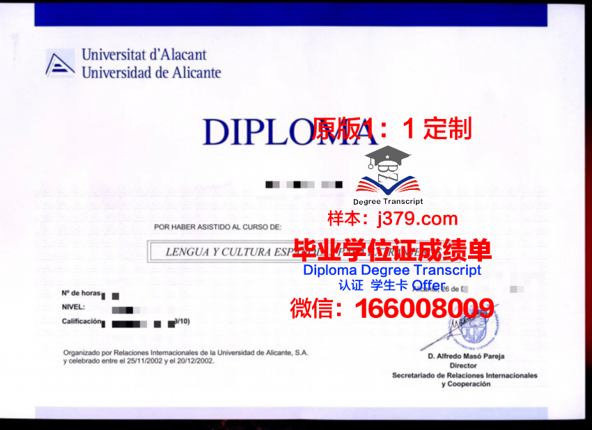 阿利坎特大学毕业证成绩单
