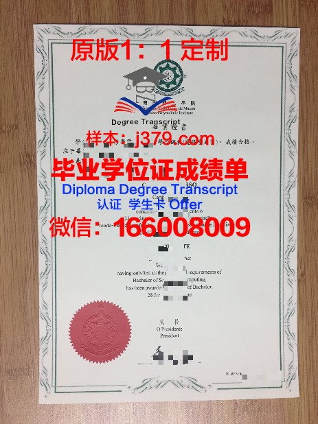 SPBU毕业证：一份充满荣誉与梦想的证书