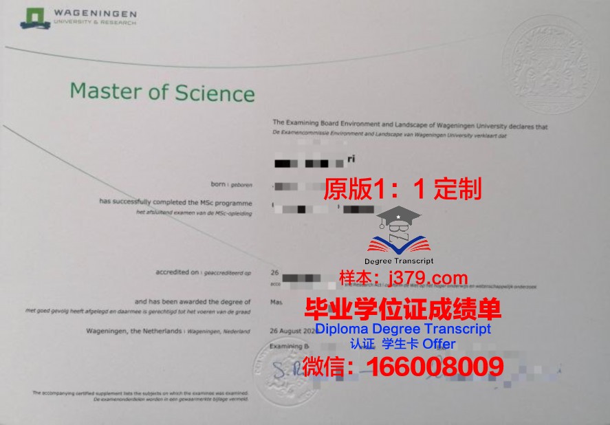 Southern Academy of Business and Techmology ( SABT )毕业证成绩单