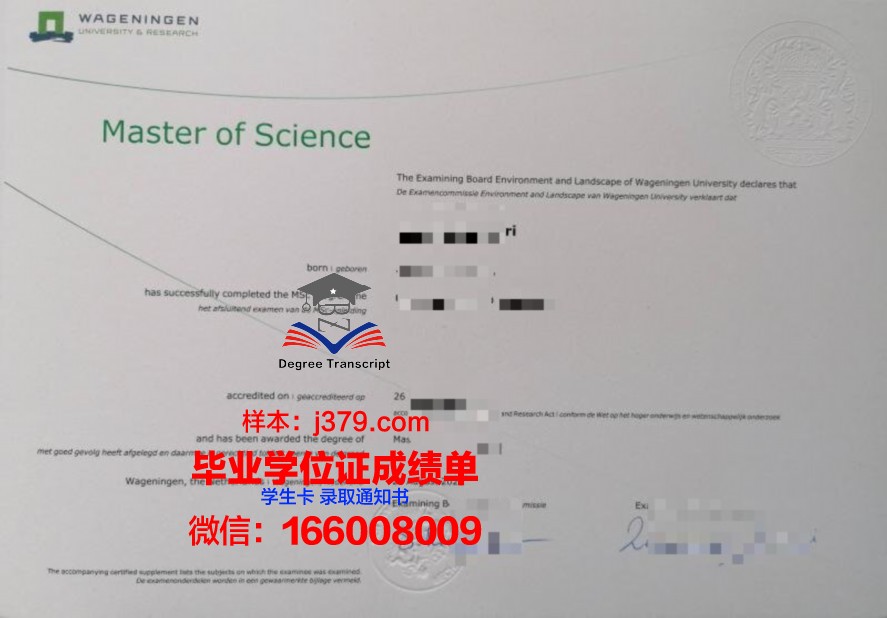 SFAI毕业证：艺术之路的里程碑