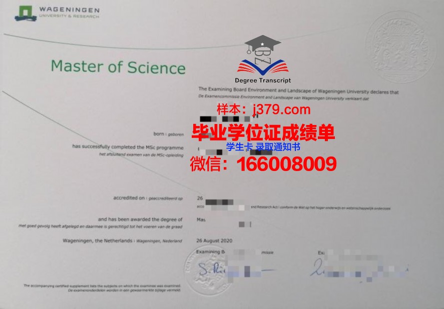 SFAI硕士毕业证：开启艺术领域新篇章的通行证