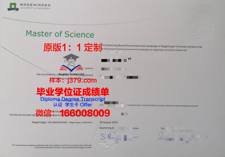 国外留学有毕业证吗(国外留学有毕业证吗现在)