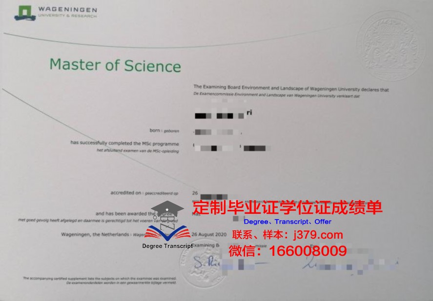 SB大学毕业证：揭开真相背后的故事