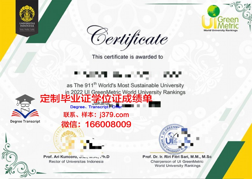 上智Diploma证书在行业内的地位与评价