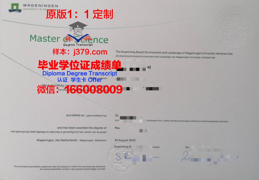 REN-U毕业证：一张承载梦想与荣耀的证书