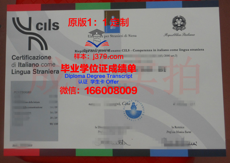 锡耶纳大学 diploma 毕业证