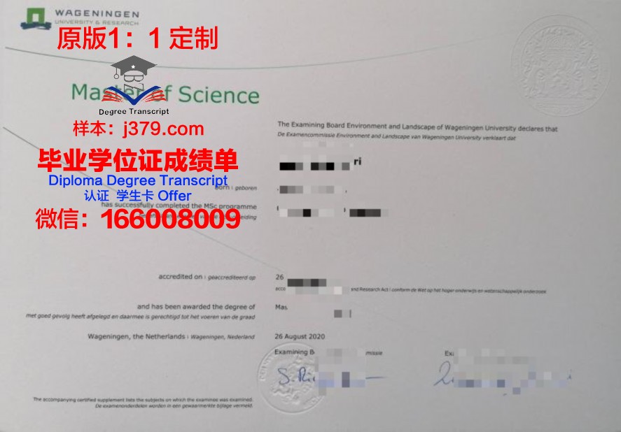2023最新托木大毕业证样式：官方发布版