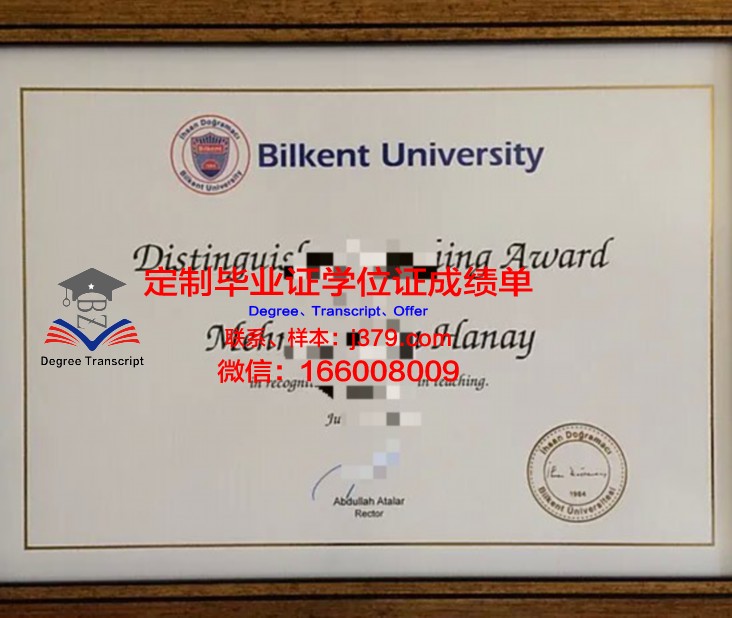 阿利坎特大学毕业证成绩单