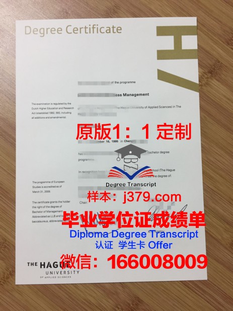 海牙酒店学院学位证成绩单：一份国际认可的荣誉证书