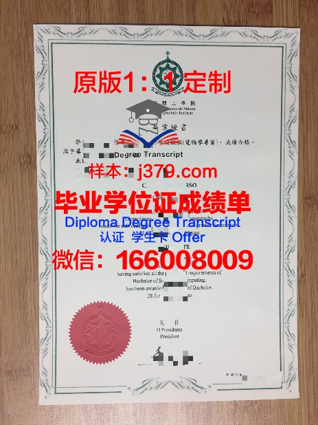 SPb ITMO大学毕业证：开启全球IT行业大门的钥匙
