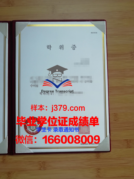 韩国产业技术大学成绩单(韩国产业经营工学)