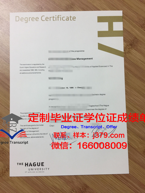 海牙艺术大学毕业证书多久收到(海牙艺术学院)