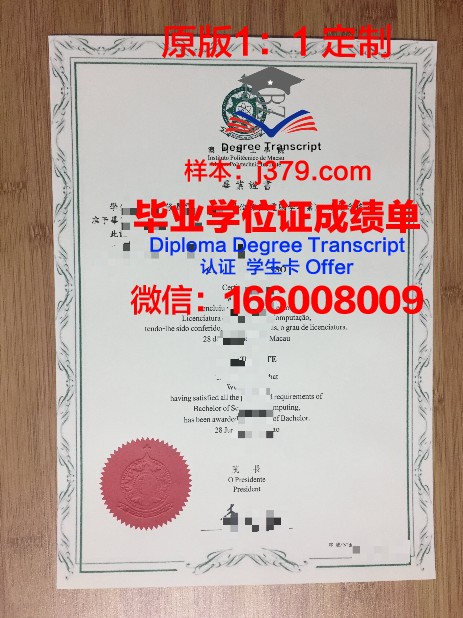 PoliTo本科毕业证：开启国际化教育新篇章的通行证