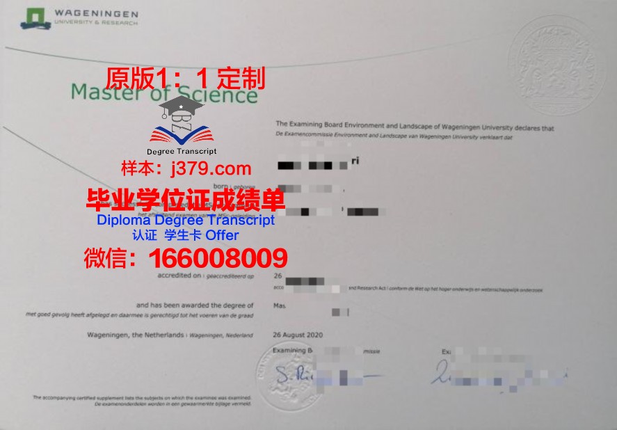 韩国留学毕业证造假(韩国留学毕业证造假怎么处理)