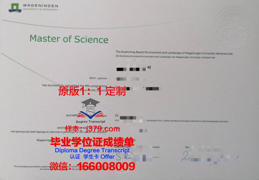 2023新墨哥毕业证样式大公开