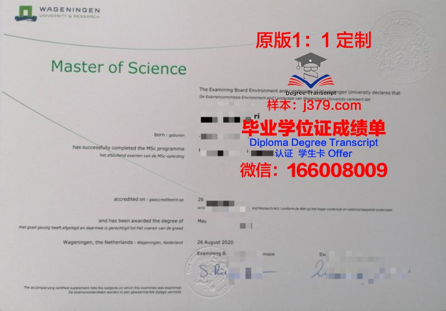 阿根廷国立南方大学毕业证Diploma文凭